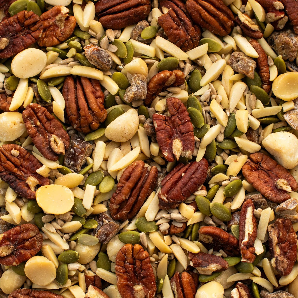 A close-up, top-down view of a mixed nut and seed snack blend featuring pecans, sliced almonds, pumpkin seeds, sunflower kernels, and dried cranberries.